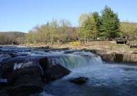 Image is not available